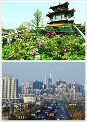 海南房地产全国巡展第一季 路牌广告引领新篇章